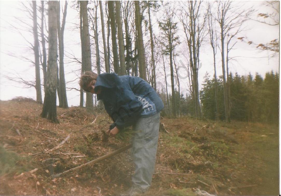 Sázení stromků 2004 - Milan Naugebauer