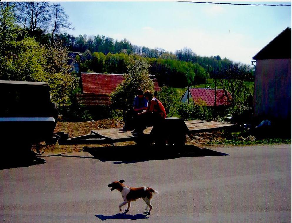 2007 - č.1 - M.Naugebauer, D. Zange